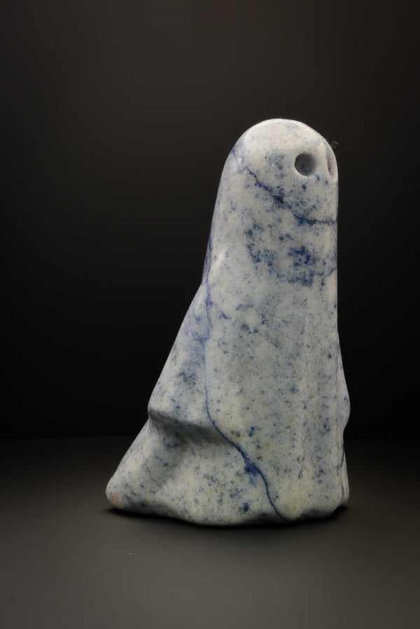 Jorvik Ghost